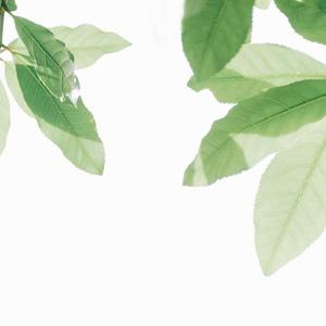 动漫男人玩弄美女的奶头
